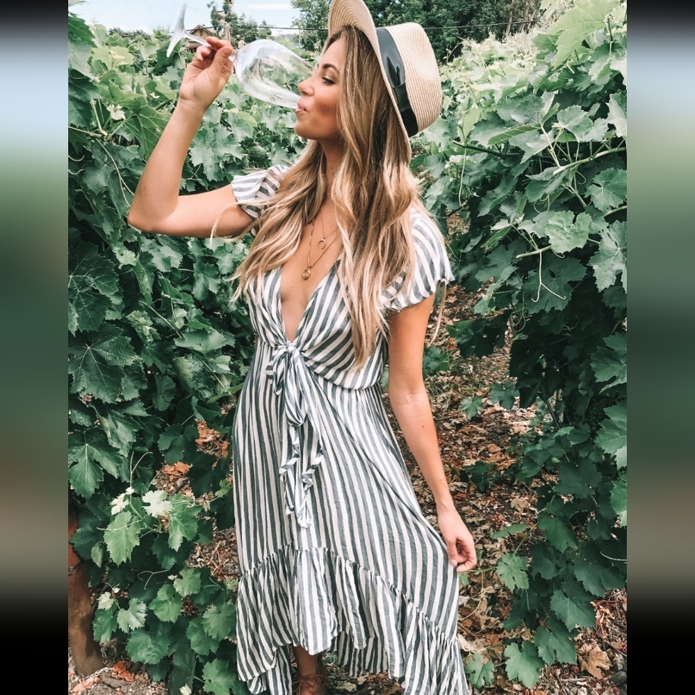 NWT Vici Deep V Dress - Amber Lancaster favorite!